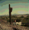 Don with Saguaro cactus near Yuma, Arizona