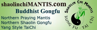 Shaolin Chi Mantis Buddhist Gongfu