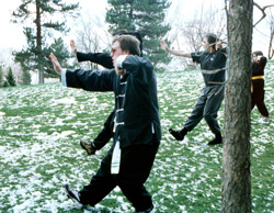 Kung Fu in the Park, Utah