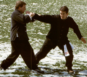 Tai Chi Chin Na Qin Na