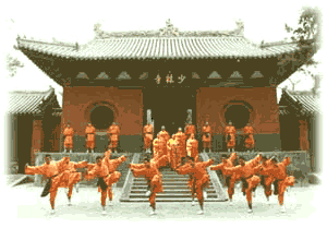 Modern Shaolin Monks