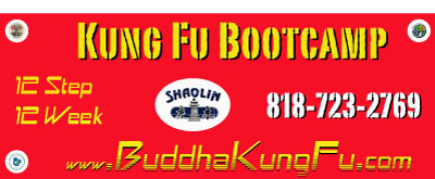 12 step Kung Fu Bootcamp