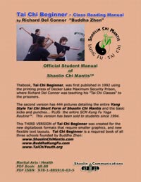 Back Cover of Tai Chi Beginner book