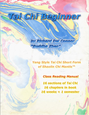 Front cover of Tai Chi Beginner book